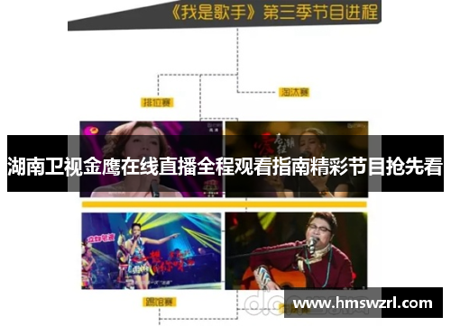 湖南卫视金鹰在线直播全程观看指南精彩节目抢先看