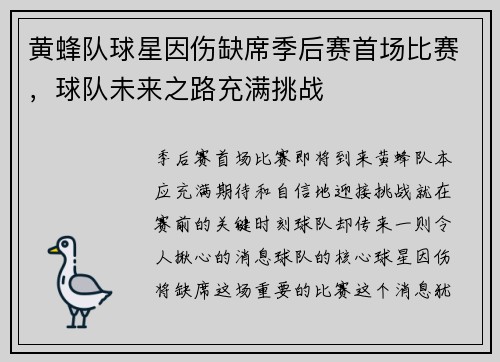黄蜂队球星因伤缺席季后赛首场比赛，球队未来之路充满挑战
