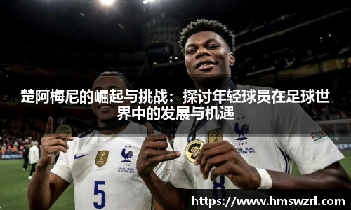 TVT体育最新地址