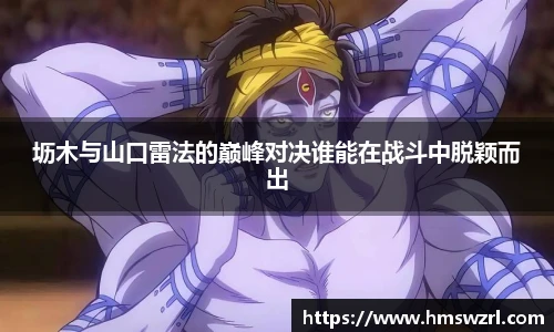 TVT体育官网版
