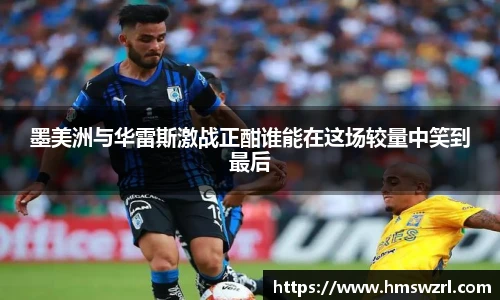 TVT体育官网版