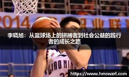 TVT体育官网版