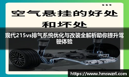 TVT体育官网入口
